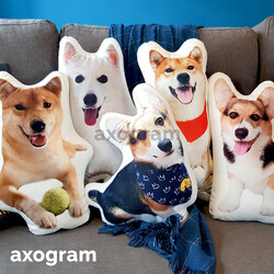 Customized 3D Pet Cushion