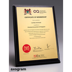 Chartered Accountant Certificate Wooden Plaque