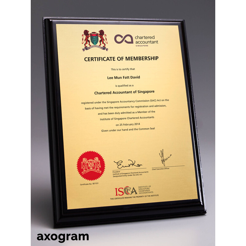 Chartered Accountant Certificate Wooden Plaque